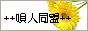 �S�l����